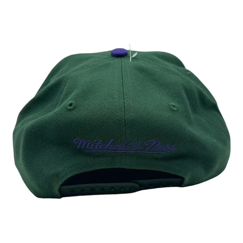 Milwaukee Bucks Mitchell & Ness NBA Snapback Hat Cap Hardwood Classics HWC Retro